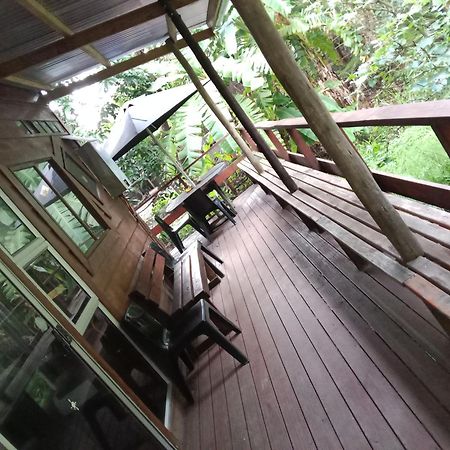 Yellowwood Forest Eco Retreat モルガンズ・ベイ エクステリア 写真