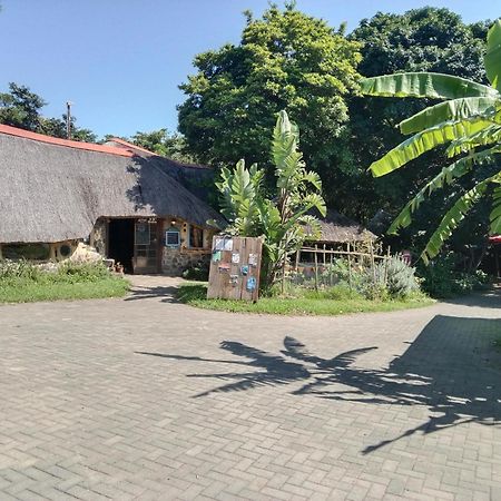 Yellowwood Forest Eco Retreat モルガンズ・ベイ エクステリア 写真