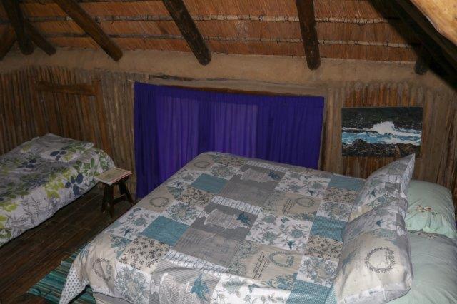 Yellowwood Forest Eco Retreat モルガンズ・ベイ エクステリア 写真