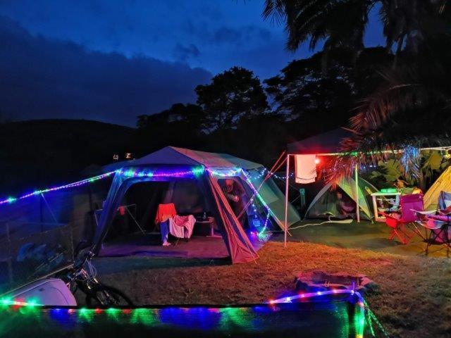 Yellowwood Forest Eco Retreat モルガンズ・ベイ エクステリア 写真