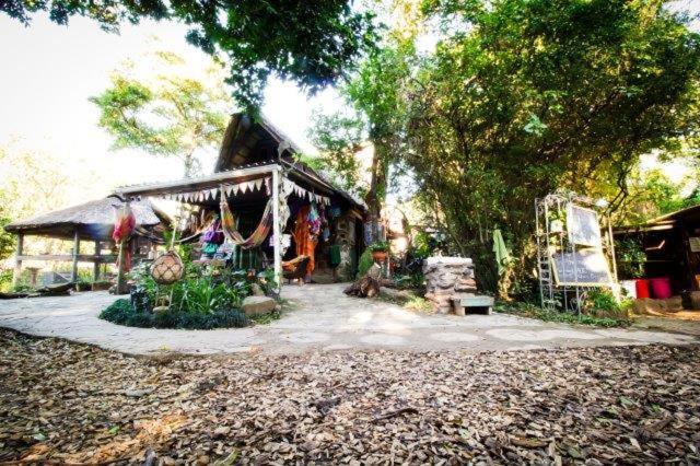 Yellowwood Forest Eco Retreat モルガンズ・ベイ エクステリア 写真