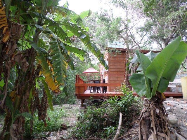 Yellowwood Forest Eco Retreat モルガンズ・ベイ エクステリア 写真