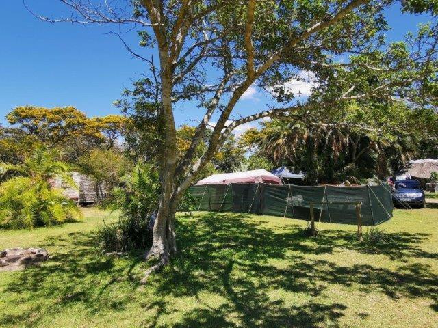 Yellowwood Forest Eco Retreat モルガンズ・ベイ エクステリア 写真