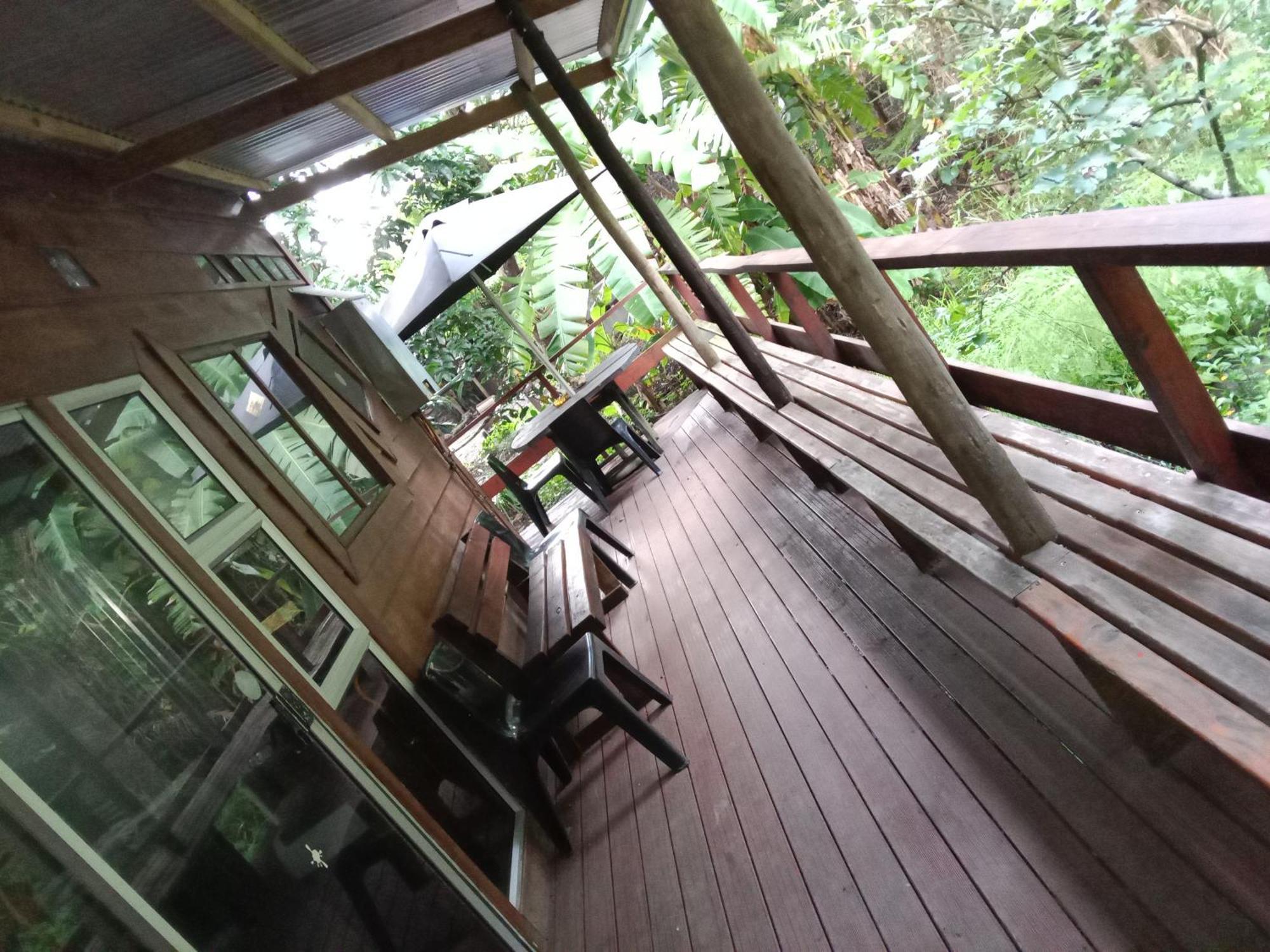 Yellowwood Forest Eco Retreat モルガンズ・ベイ エクステリア 写真